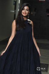 Anisha Ambrose At Vunnadhi Okate Zindagi Movie Audio Launch